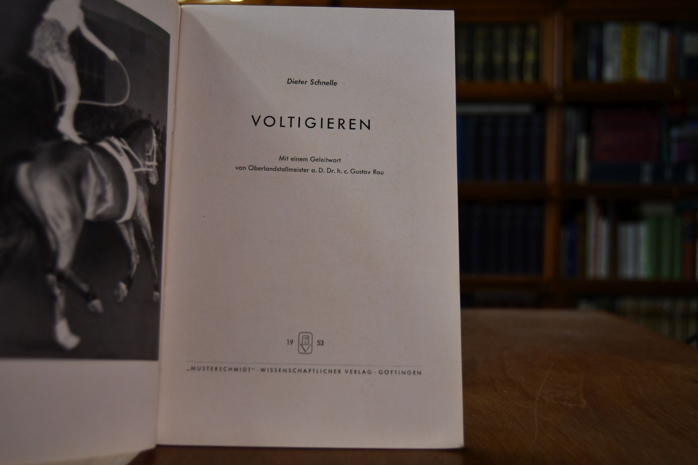 Voltigieren.