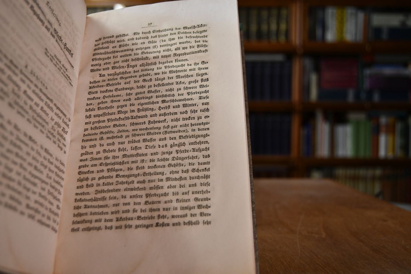 Über die Pferde-Züchtung, den Pferde- und Füllen-Handel und die Remontierung der Cavallerie des Königreichs Hannover.
