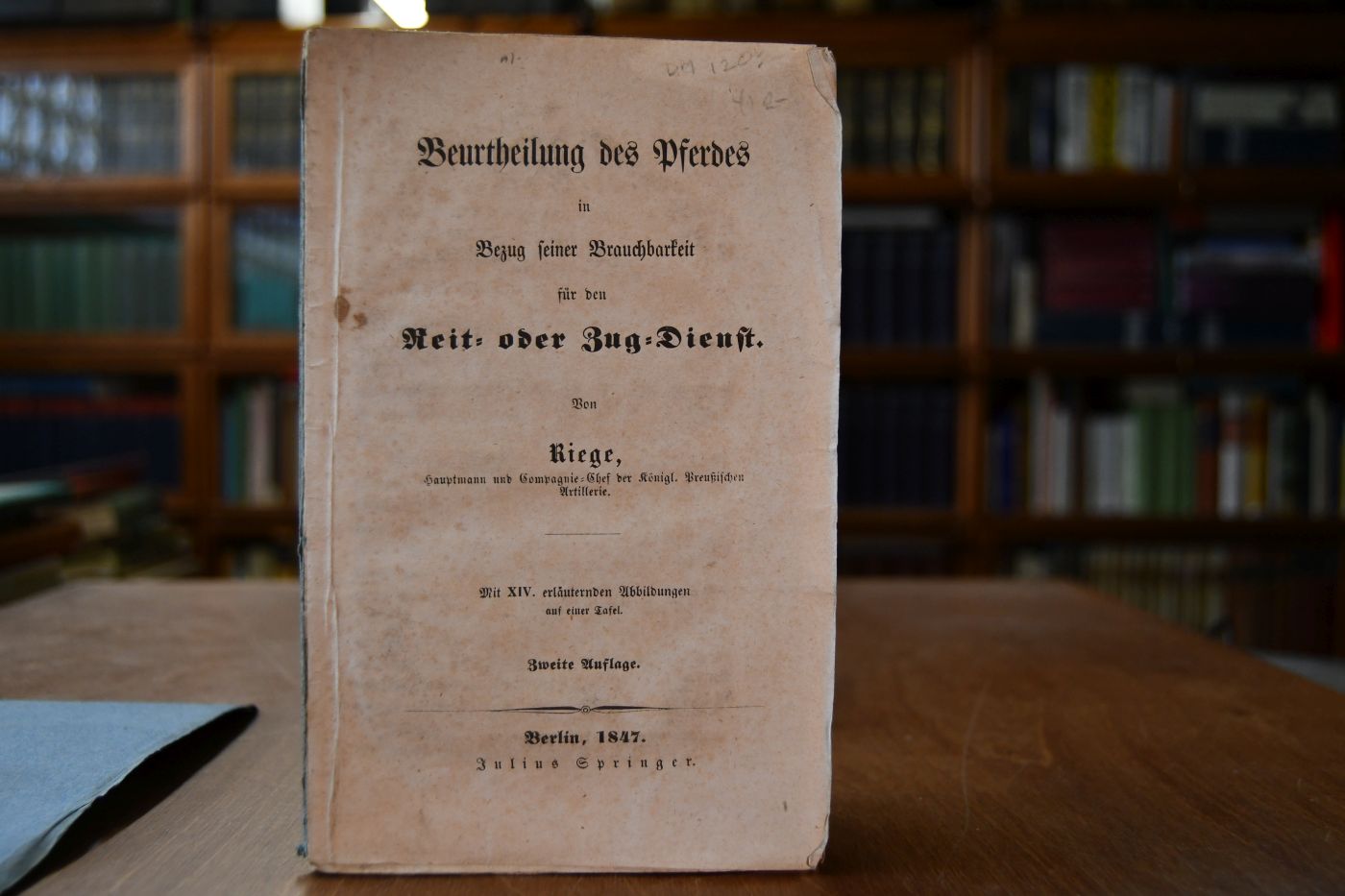 Beurtheilung des Pferdes in Bezug seiner Brauchbarkeit für den Reit- oder Zug-Dienst.