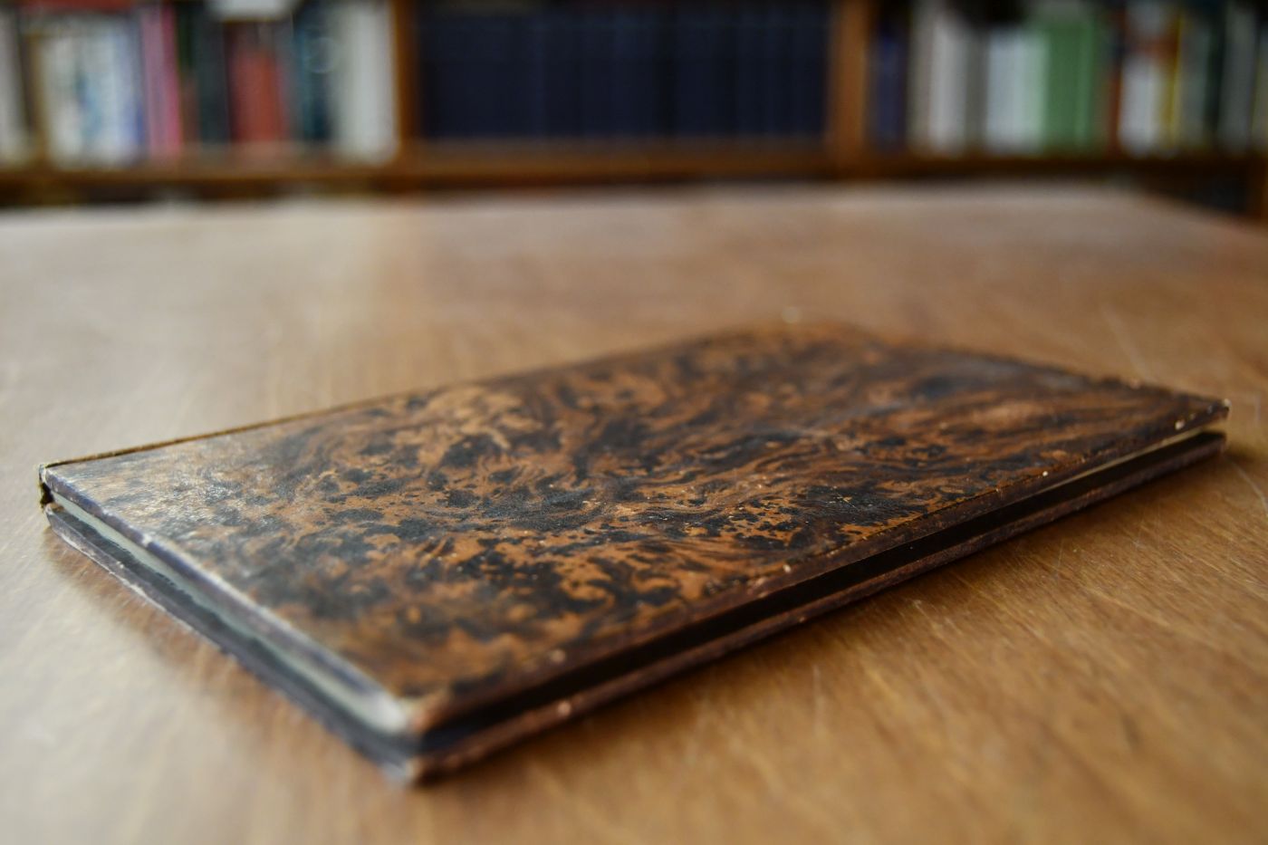 Einige Bemerkungen über die Lehre von dem Exterieur der Pferde. In zwei Briefen an einen Freund.