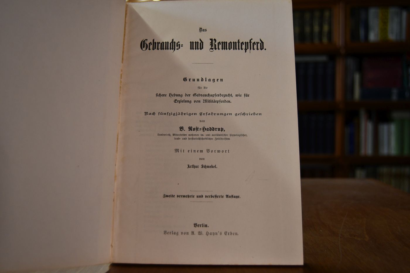 Das Gebrauchs- und Remontepferd.