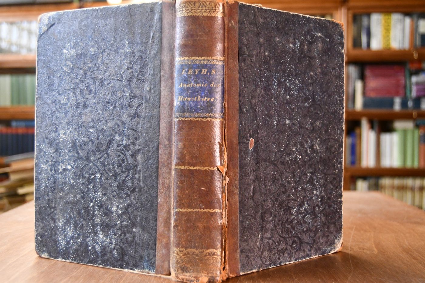 Handbuch der Anatomie der Hausthiere. Mit besonderer Berücksichtigung des Pferdes.