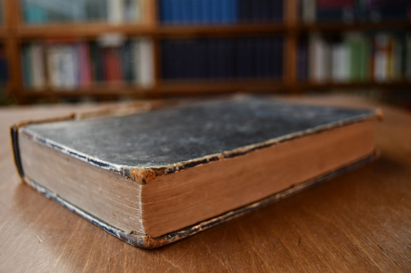 Handbuch der Anatomie der Hausthiere. Mit besonderer Berücksichtigung des Pferdes.