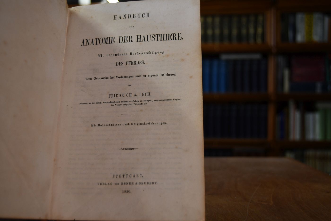 Handbuch der Anatomie der Hausthiere. Mit besonderer Berücksichtigung des Pferdes.
