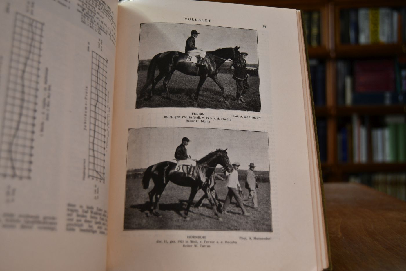 Vollblut. Zeitschrift zur Förderung der Beziehungen des Rennsports zur Vollblutzucht. 7. Jahrgang 1924. Bde. I+II.