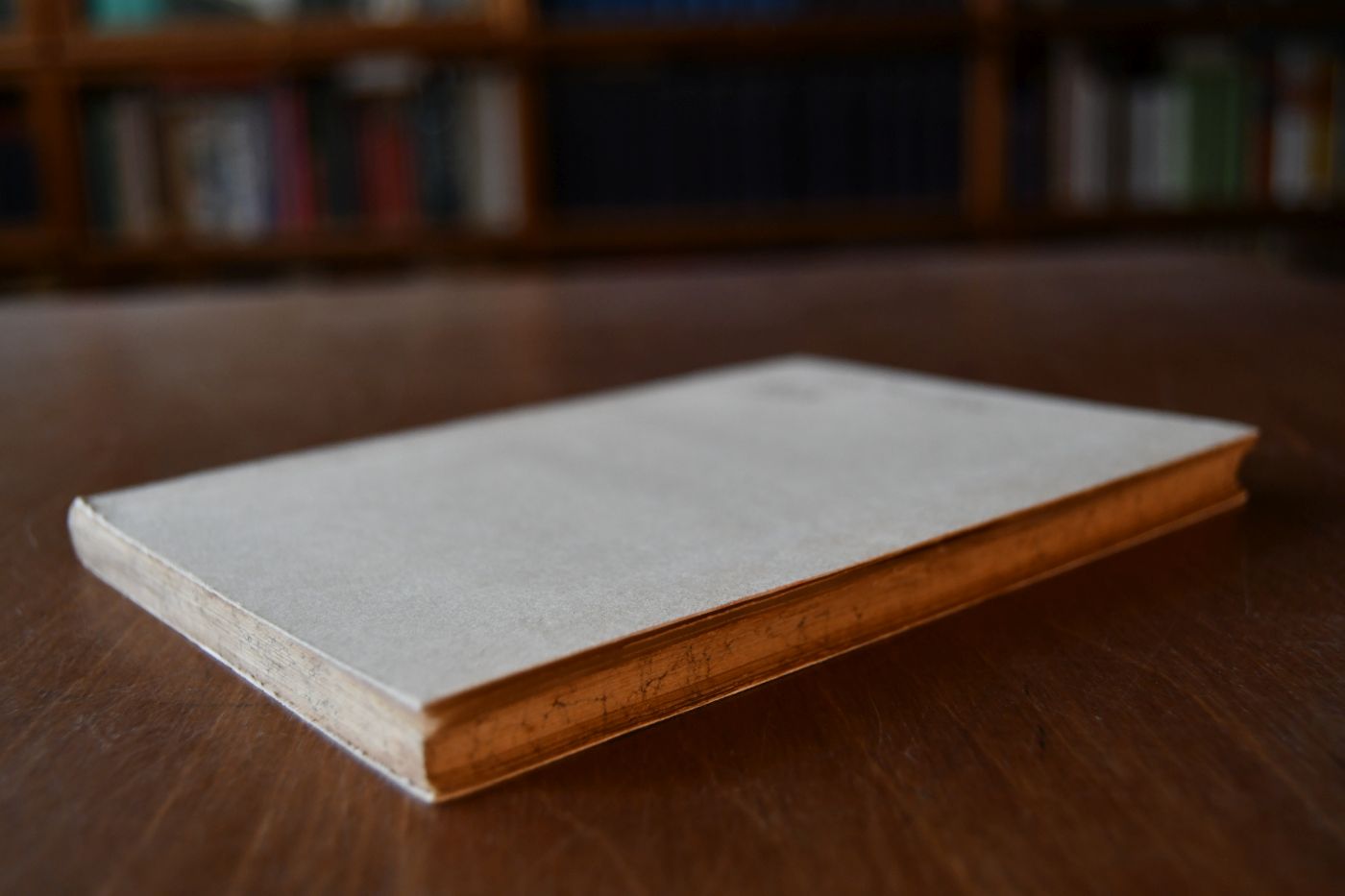 Reit-Handbuch für Nicht-Cavalleristen.