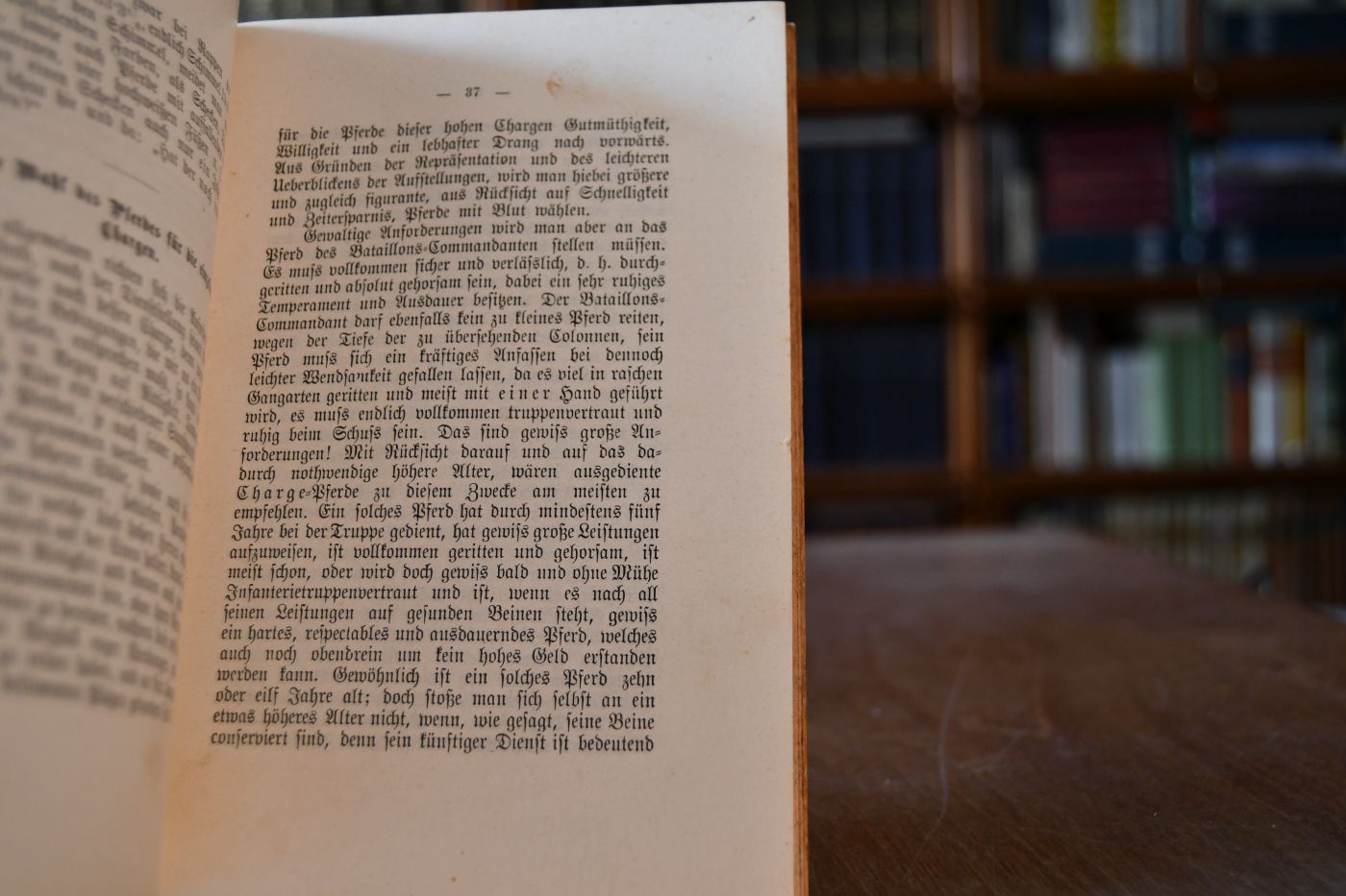 Reit-Handbuch für Nicht-Cavalleristen.