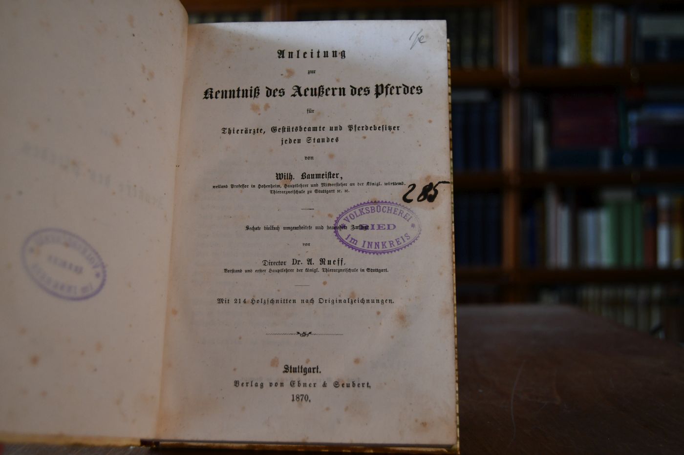 Anleitung zur Kenntniß des Aeußern des Pferdes für Thierärzte, Gestütsbeamte und Pferdebesitzer jeden Standes.