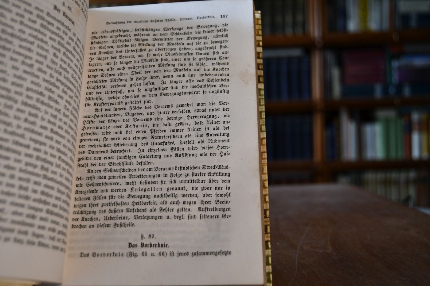Anleitung zur Kenntniß des Aeußern des Pferdes für Thierärzte, Gestütsbeamte und Pferdebesitzer jeden Standes.