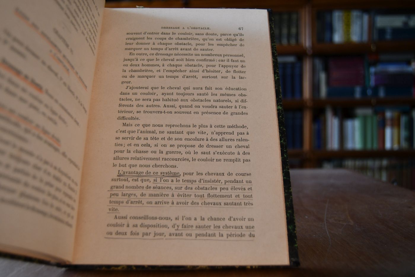 Travail a la Longe et Dressage a L`Obstacle.