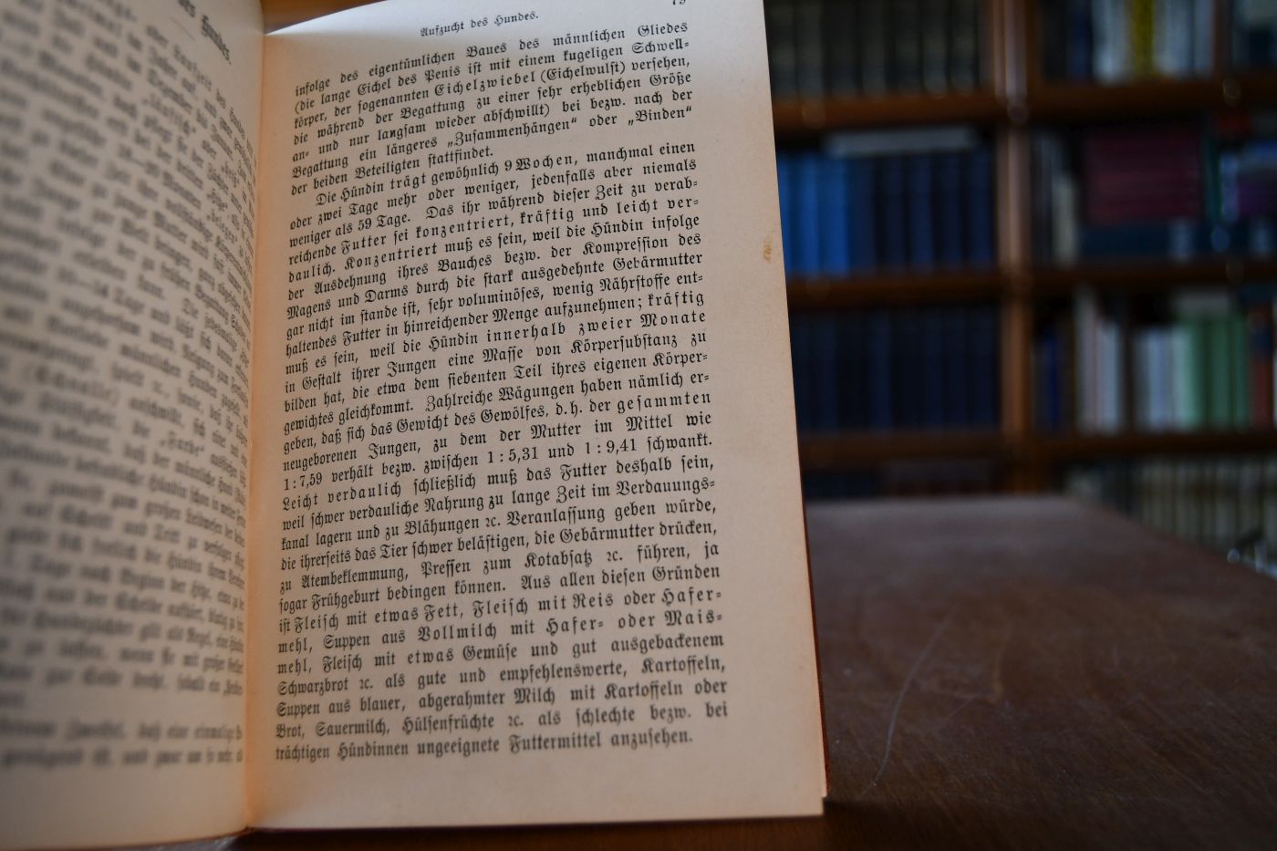 Der gesunde Hund. Naturgeschichte, Körperbau, Rassen, Aufzucht und Pflege des Hundes.