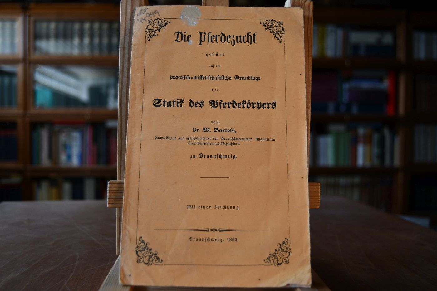 Die Pferdezucht gestützt auf die practisch-wissenschaftliche Grundlage der Statik des Pferdekörpers.
