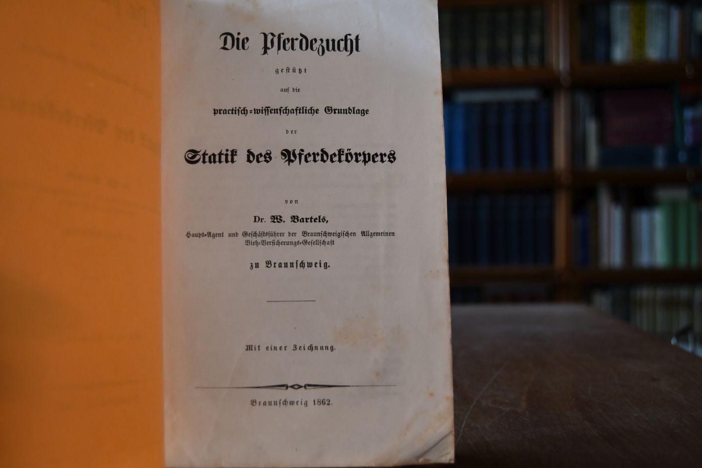 Die Pferdezucht gestützt auf die practisch-wissenschaftliche Grundlage der Statik des Pferdekörpers.