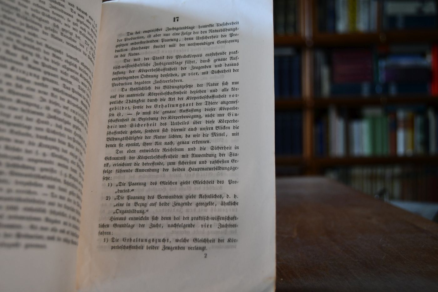 Die Pferdezucht gestützt auf die practisch-wissenschaftliche Grundlage der Statik des Pferdekörpers.