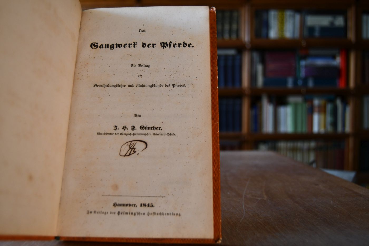 Das Gangwerk der Pferde. Ein Beitrag zur Beurtheilungslehre und Züchtungskunde des Pferdes.