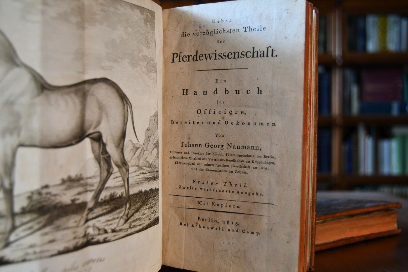 Ueber die vorzüglichsten Theile der Pferdewissenschaft. Ein Handbuch für Officiere, Bereiter und Oekonomen. Theile 1+2.