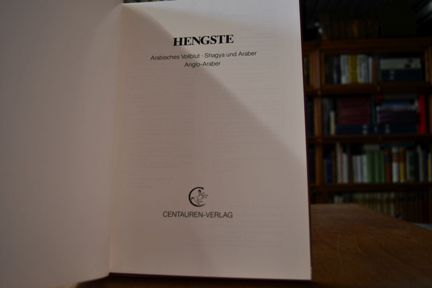 Hengste. Arabisches Vollblut, Shagya und Araber, Anglo-Araber.