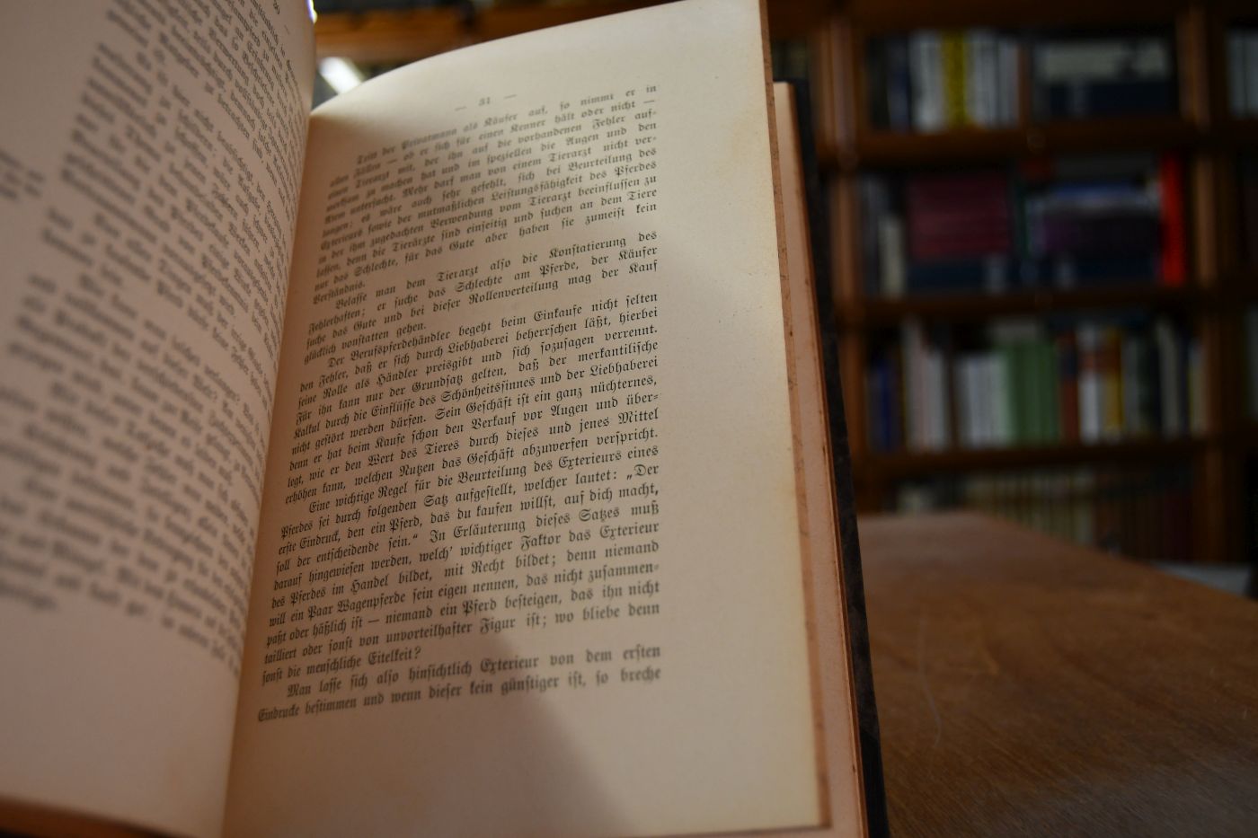 Der Pferdehandel. Ein Handbuch für Pferde-Liebhaber, "Käufer" und "Verkäufer".