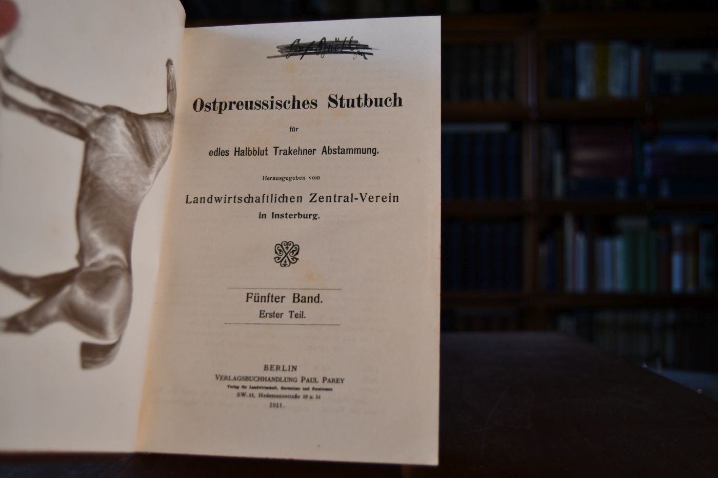 Ostpreussisches Stutbuch für edles Halbblut Trakehner Abstammung. 5. Band 1. + 2. Teil.