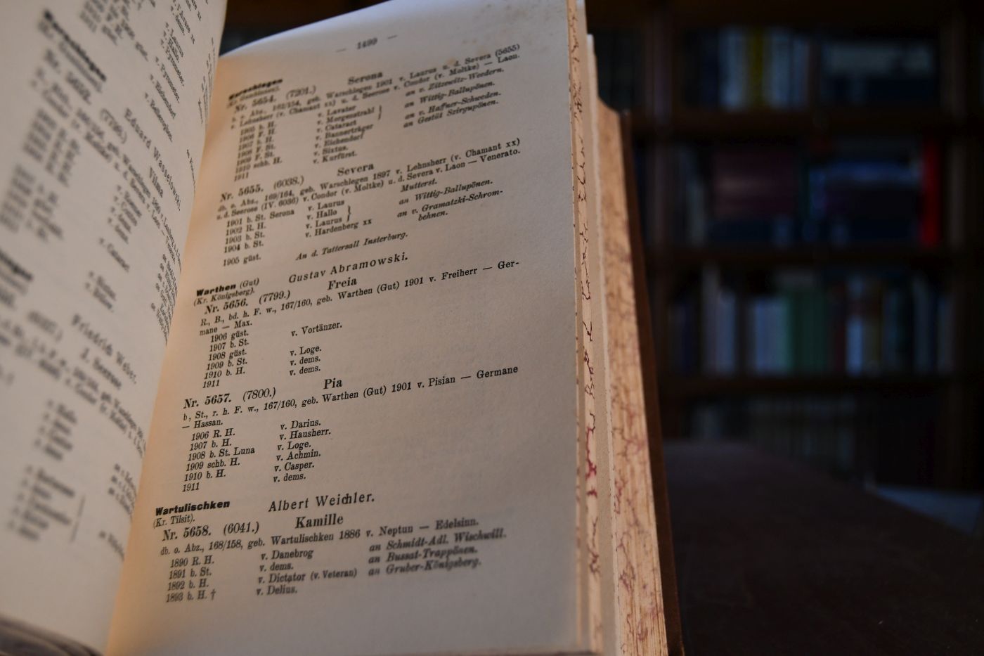 Ostpreussisches Stutbuch für edles Halbblut Trakehner Abstammung. 5. Band 1. + 2. Teil.