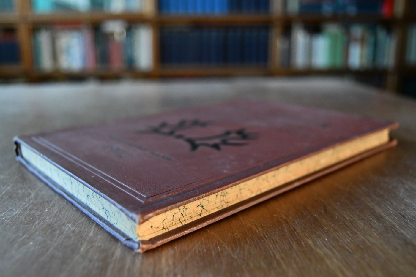 Supplement für 1892 zum II. Band des Ostpreussischen Stutbuches für edles Halbblut Trakehner Abstammung.