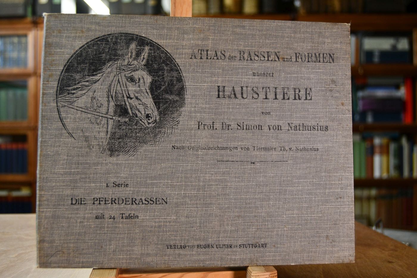 Atlas der Rassen und Formen unserer Haustiere. Serie I. Die Pferderassen.