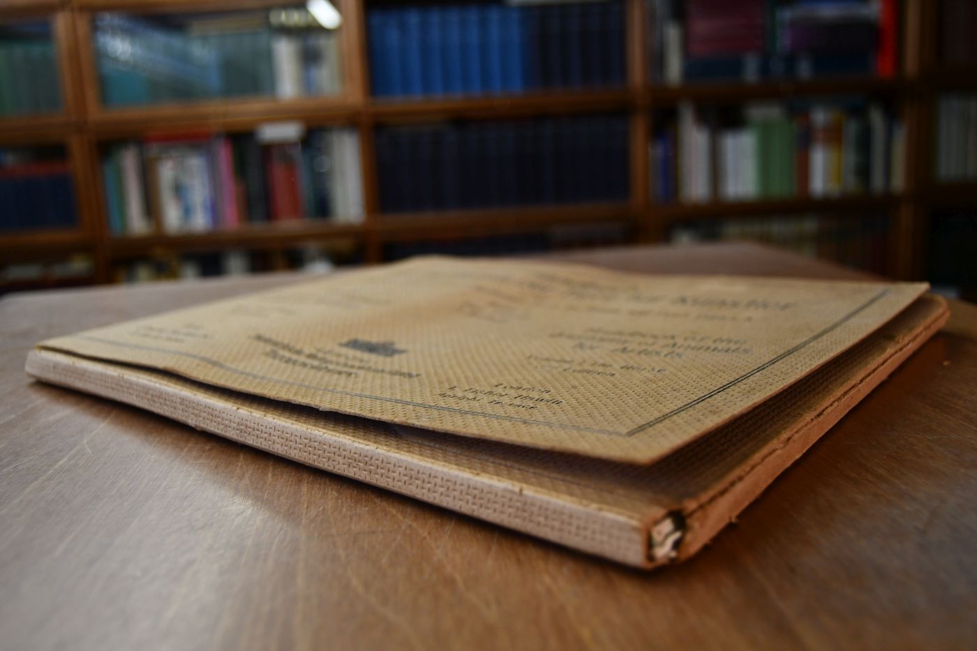 Handbuch der Anatomie der Tiere für Künstler. Band I Das Pferd.