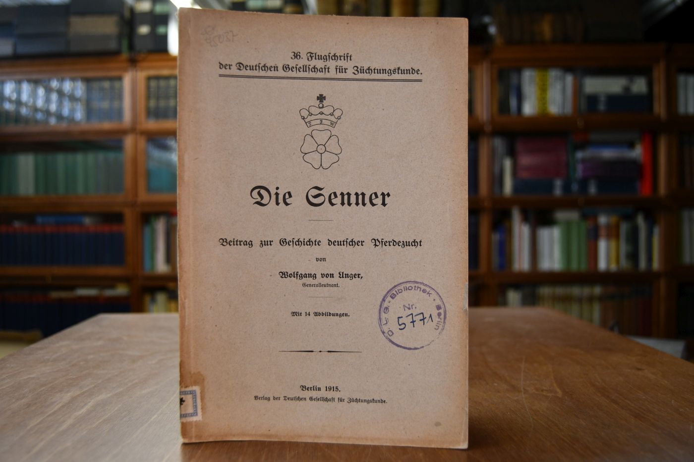 Die Senner. Beitrag zur Geschichte deutscher Pferdezucht.