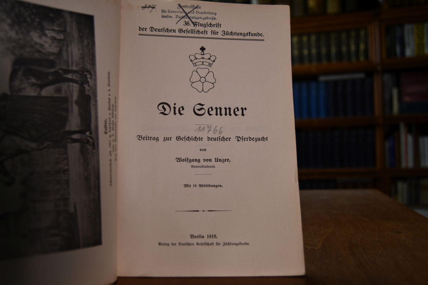 Die Senner. Beitrag zur Geschichte deutscher Pferdezucht.