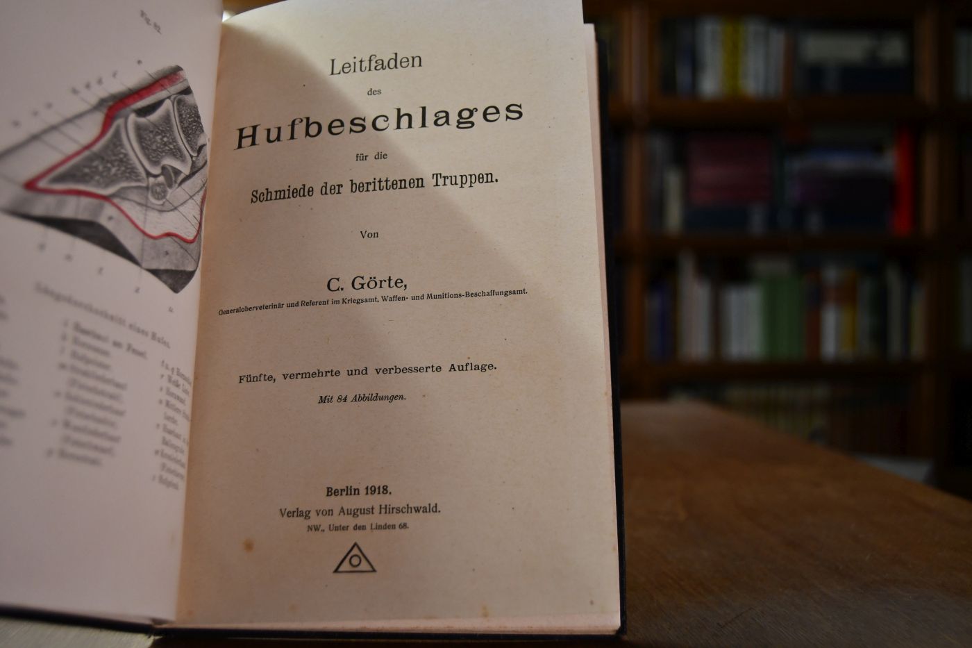 Leitfaden des Hufbeschlages.