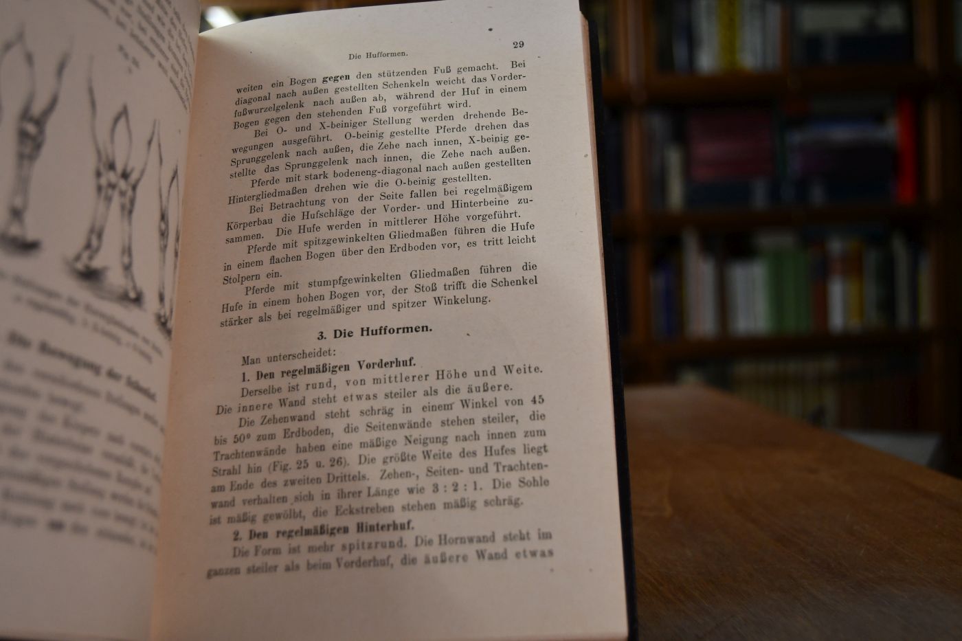 Leitfaden des Hufbeschlages.