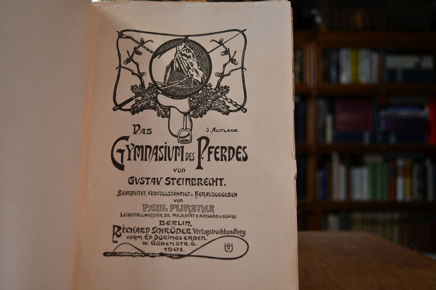 Das Gynasium des Pferdes.