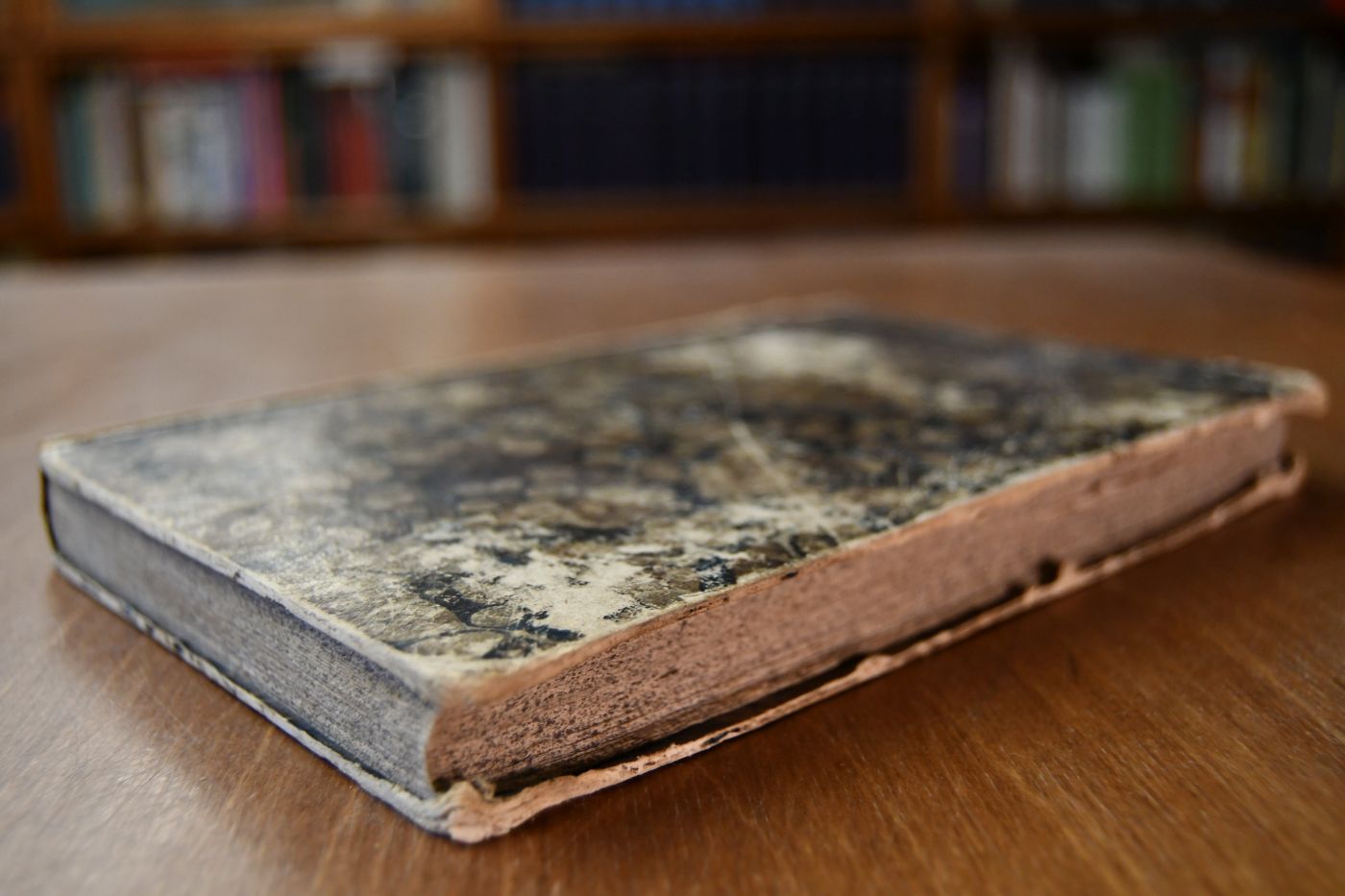 Anleitung zur äussern Pferdekenntniss. Ein Handbuch zum Selbstunterricht und für Vorlesungen.