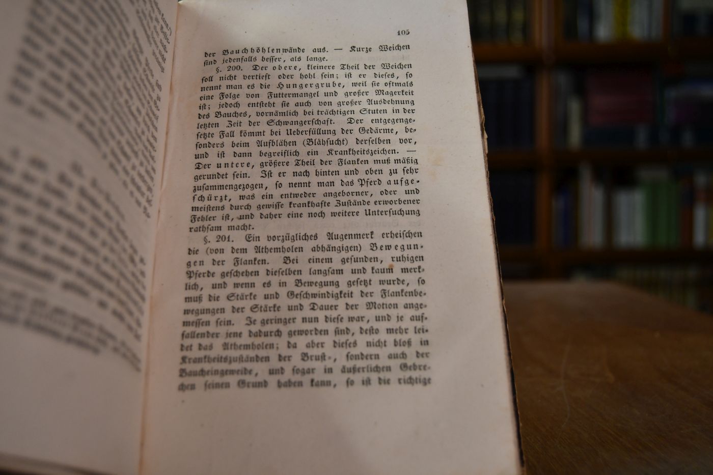 Anleitung zur äussern Pferdekenntniss. Ein Handbuch zum Selbstunterricht und für Vorlesungen.