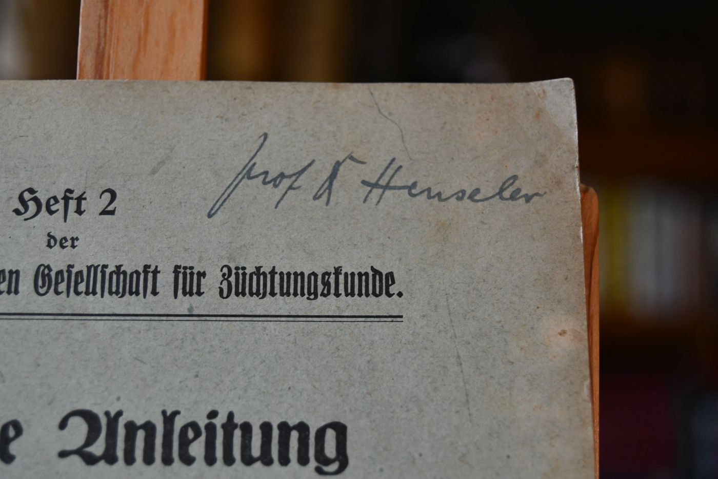 Praktische Anleitung zum Messen von Pferden.