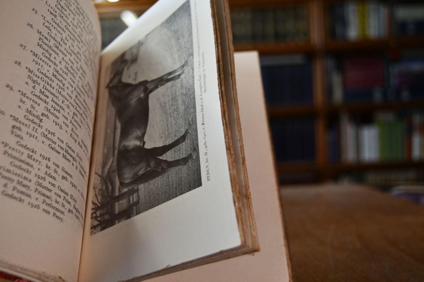 Österreichischer Gestüts- und Turf-Almanach 1927.