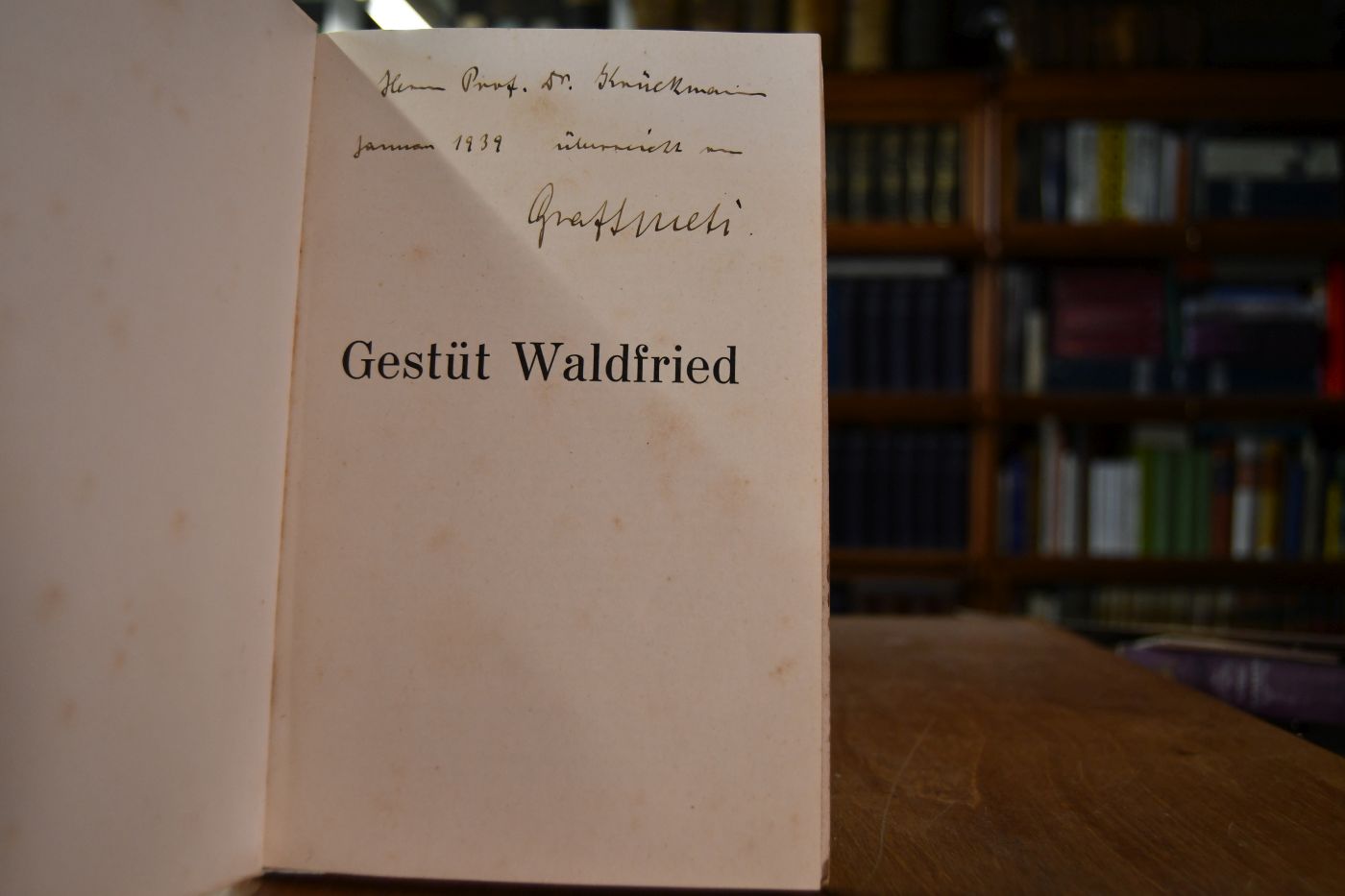 Gestüt Waldfrieden.
