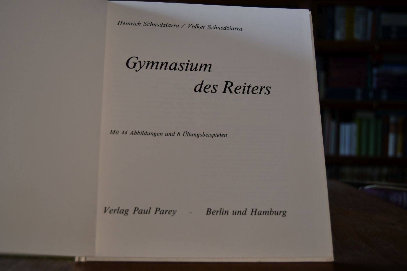 Gymnasium des Reiters.