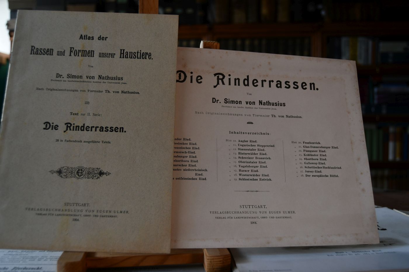 Atlas der Rassen und Formen unserer Haustiere. Serie II. Die Rinderrassen.