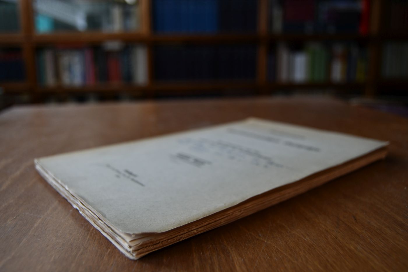 Die Entwicklung des Territoriums der Reichsstadt Ulm im XIII. und XIV. Jahrhundert.