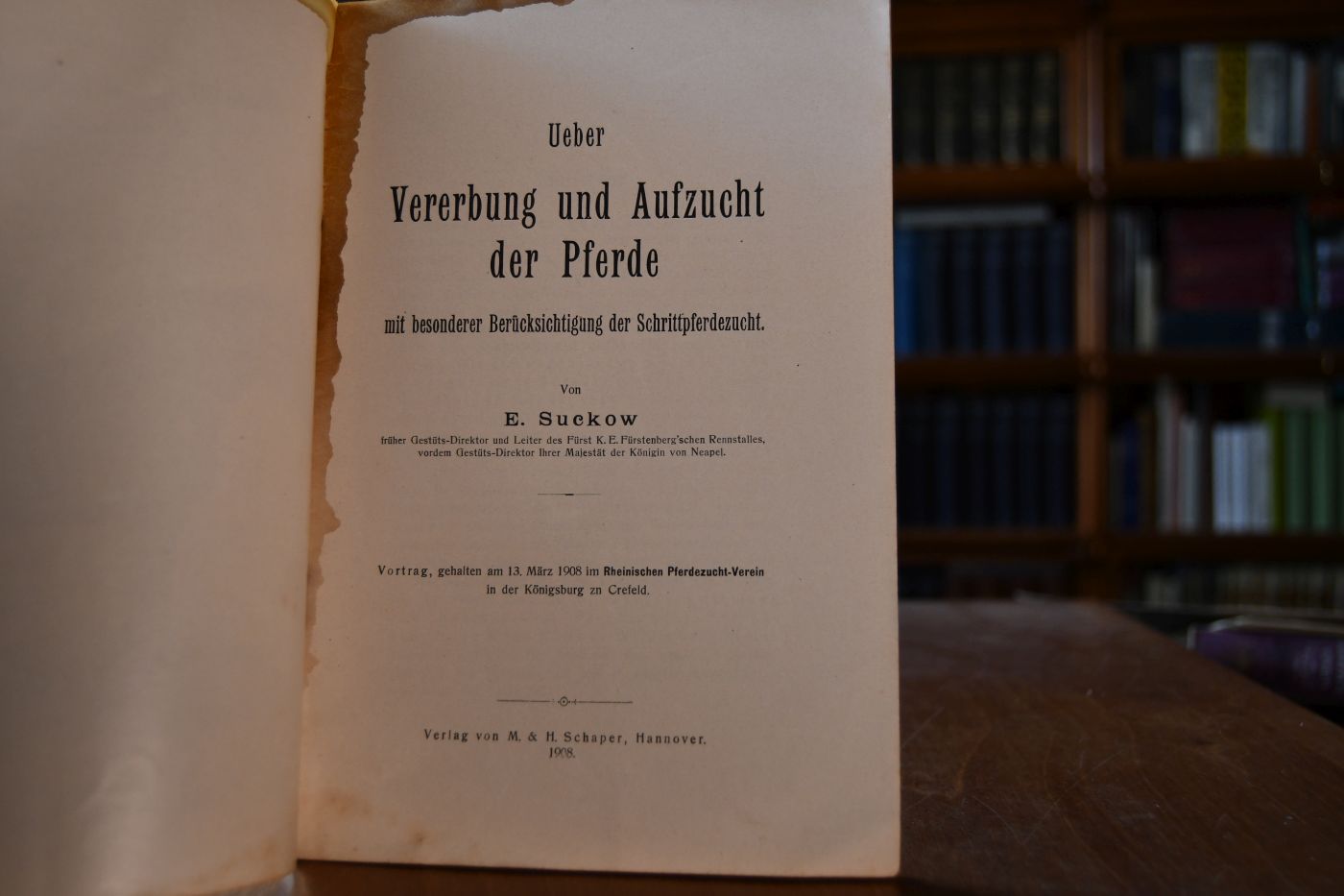 Ueber Vererbung und Aufzucht der Pferde mit besonderer Berücksichtigung der Schrittpferdezucht.