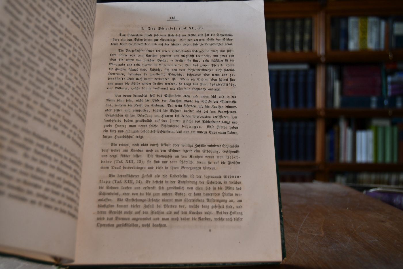 Der Pferdezüchter. Anleitung zur Kenntniß der gesammten Pferdewissenschaft. Ein Handbuch für Pferdebesitzer und Pferdeliebhaber.