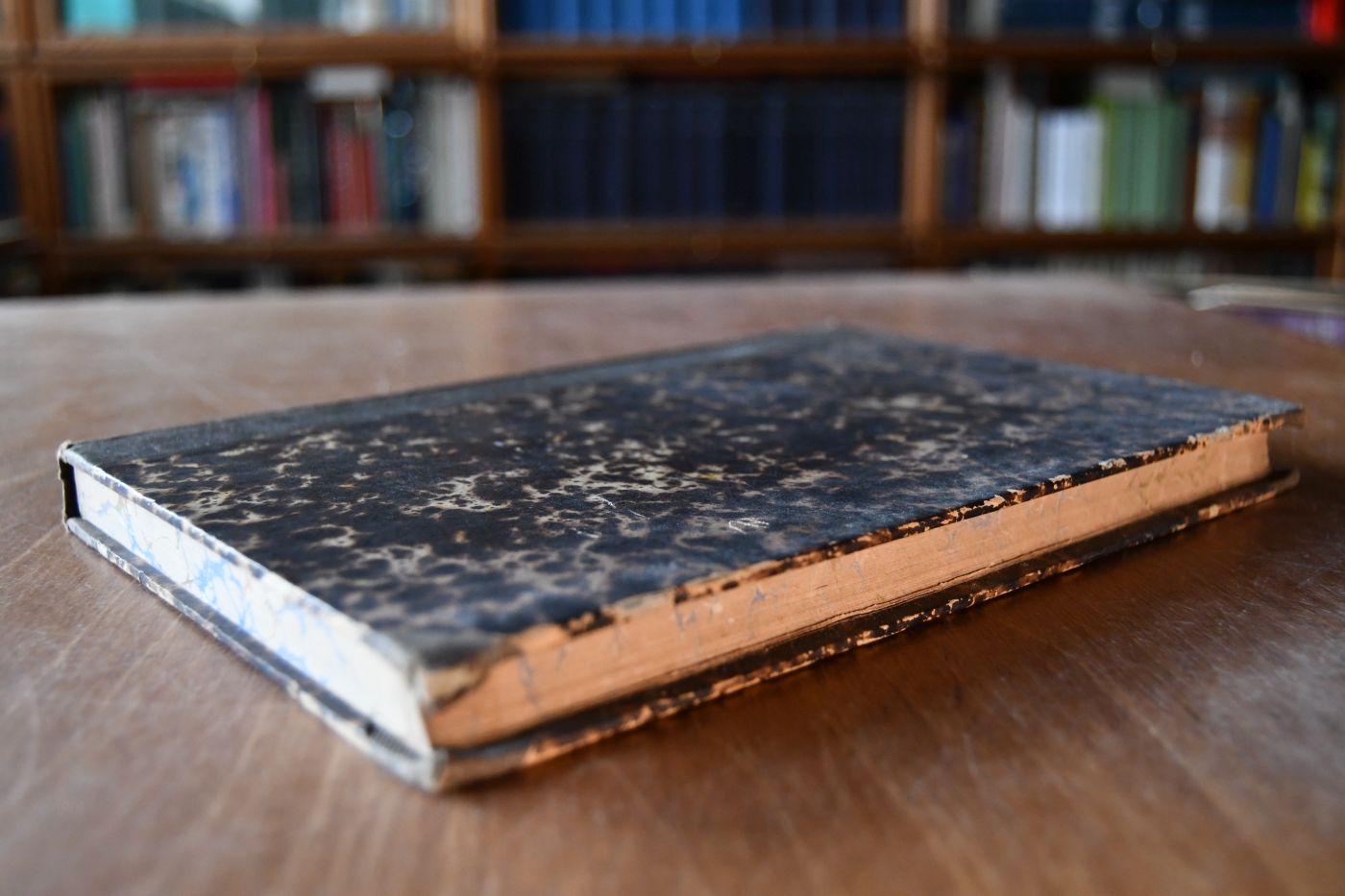 Handbuch der Lehre vom Aeussern des Pferdes.