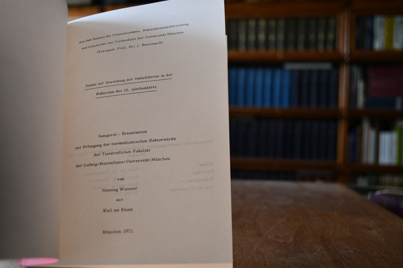 Studie zur Anwendung der Umbelliferen in der Roßarznei des 16. Jahrhunderts.