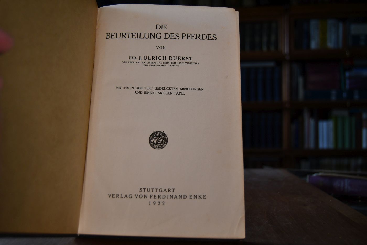 Die Beurteilung des Pferdes.