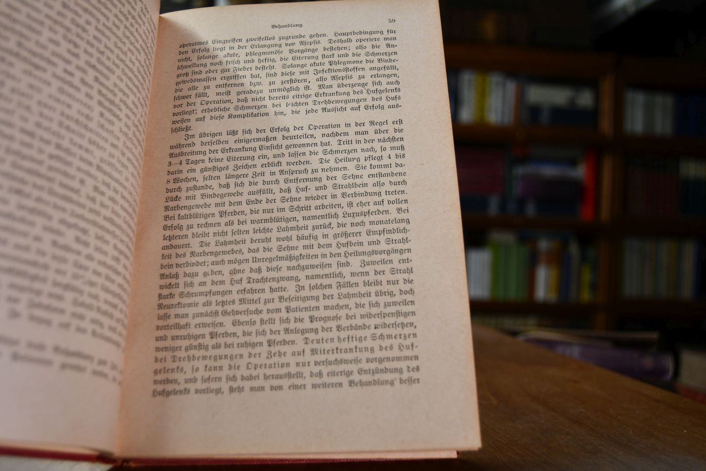Die Hufkrankheiten des Pferdes, ihre Erkennung, Heilung und Verhütung.
