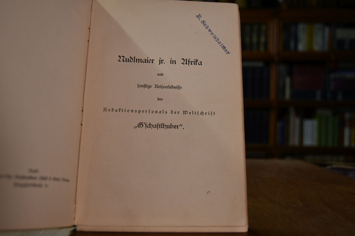 Nudelmaier jr. in Afrika und sonstige Reiseberichte des Redactions-Personales der Weltschrift "G`schaftlhuber"