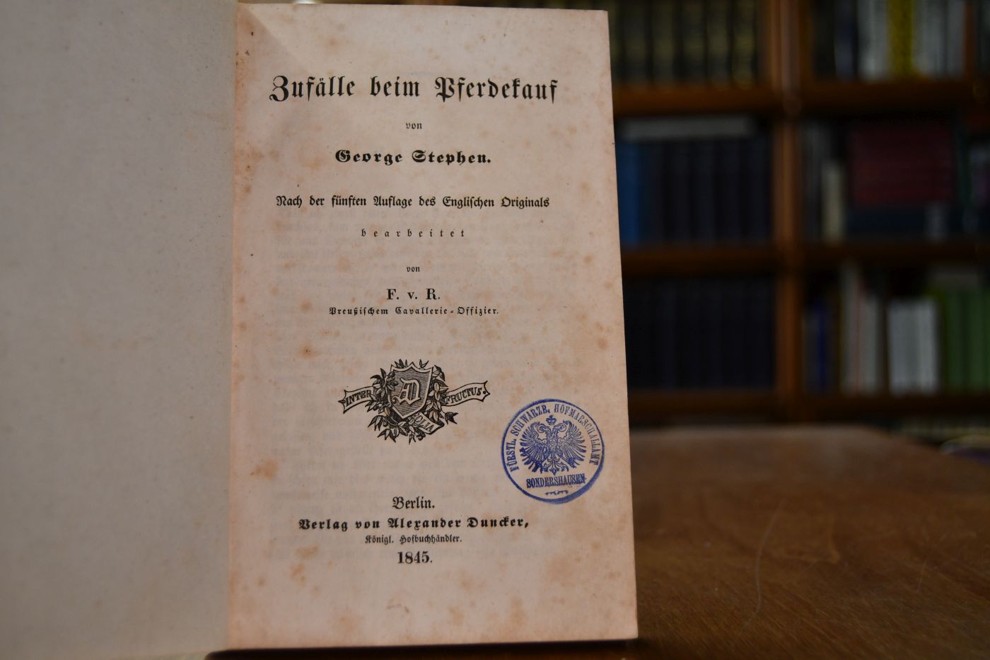 Zufälle beim Pferdekauf.