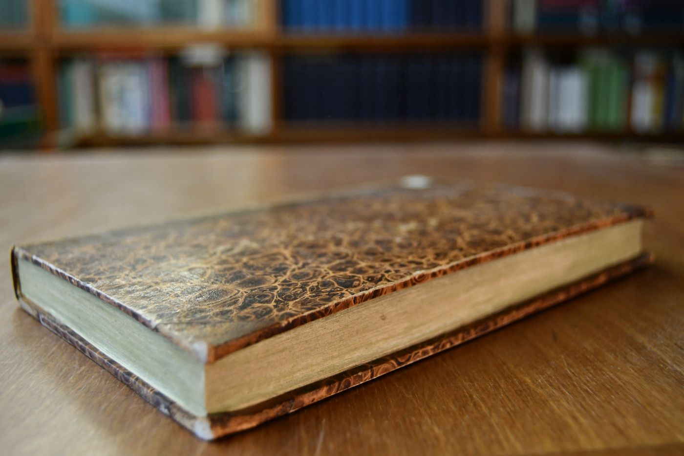Von der Zucht und Veredelung der Pferde durch öffentliche und Privatgestüte. Eine Anleitung für diejenigen, welche sich mit Nutzen mit der Zucht und Veredelung der Pferde beschäftigen wollen.