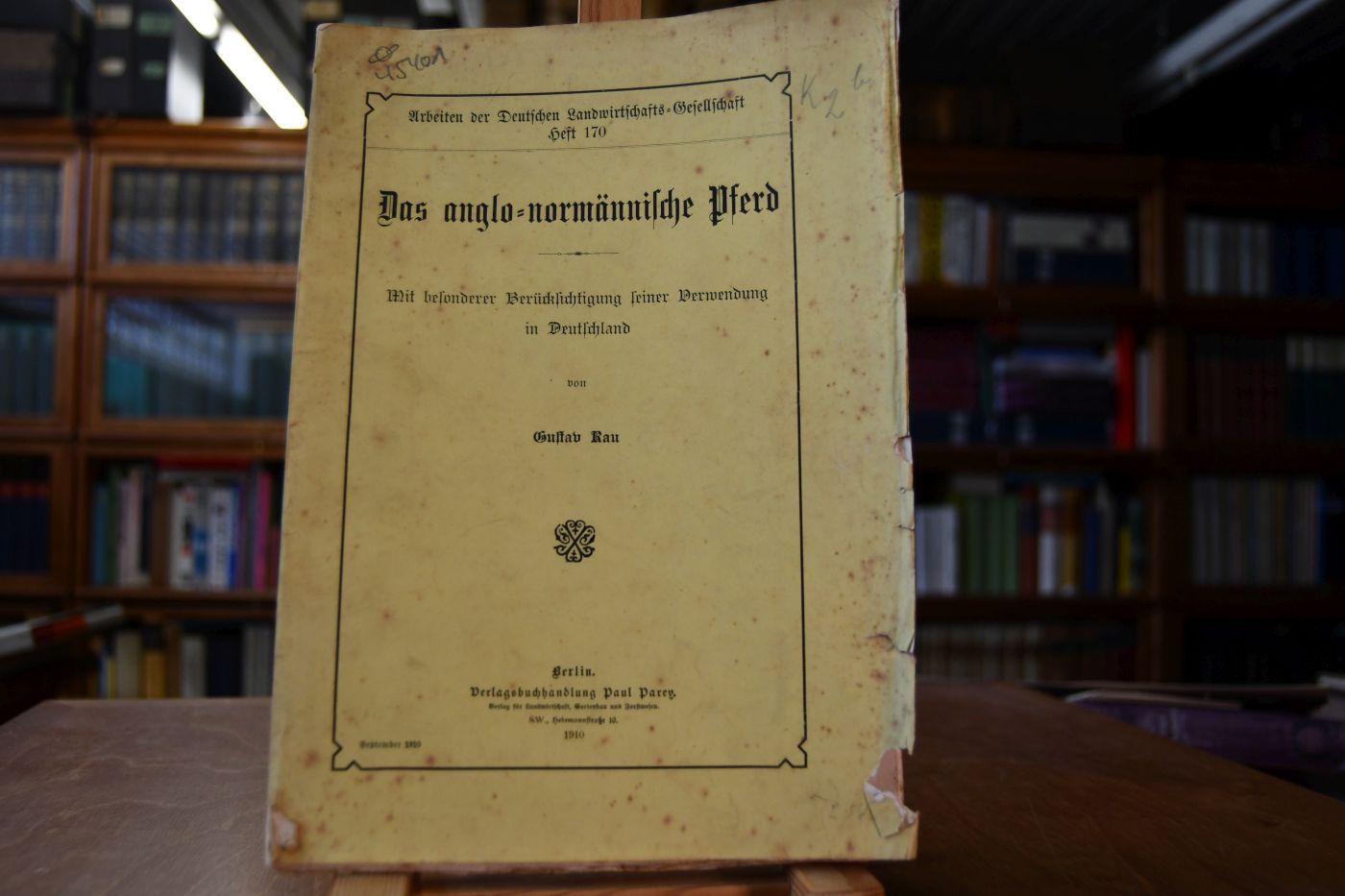 Das anglo-normännische Pferd. Mit besonderer Berücksichtigung seiner Verwendung in Deutschland.